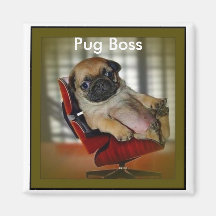 Pug Boss Fridge Magnets