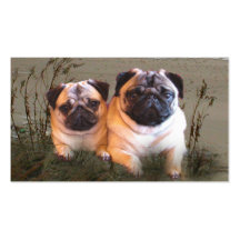Pug Breeder Business Card