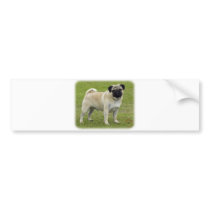 Pug bumper stickers by TraffordPhotos Pug bumper stickers