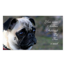 Pug business cards