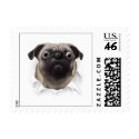 Pug Busting Out - Customized stamp