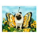 Pug Butterfly Postcard