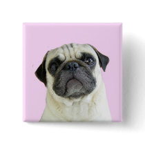 pug button