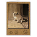 Pug cards