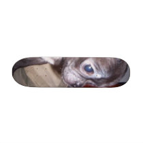 pug+chihuahua skateboards