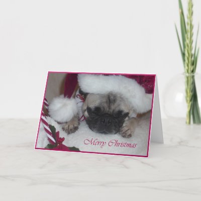 Pug Christmas Card