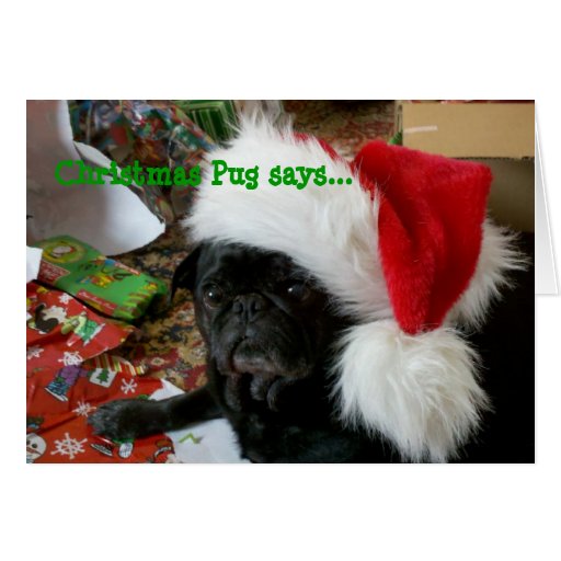 pug christmas greetings cards