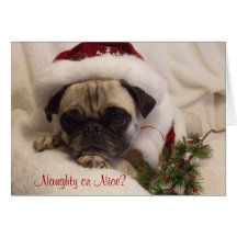 Pug Christmas Card