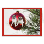 Pug Christmas Card Hanging Ball
