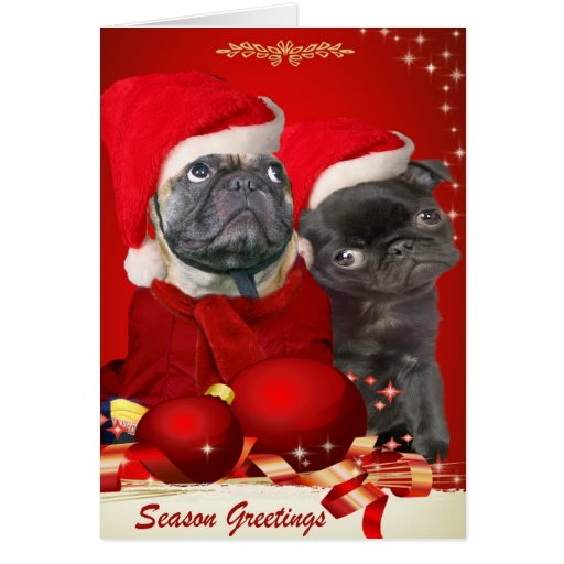 pug christmas pals greeting card