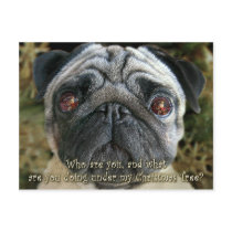 Pug Christmas postcard - Look into her eyes... by thedrunkenpug Pug Christmas postcard - Look into her eyes...