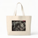 Pug Close-up - Tote Bag