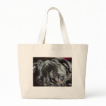 Pug Close-up - Tote Bag