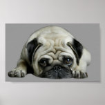Pug Clown At Heart Print