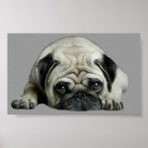 Pug Clown At Heart Print