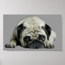 Pug Clown At Heart Print