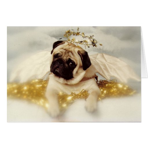 pug dog angel christmas card