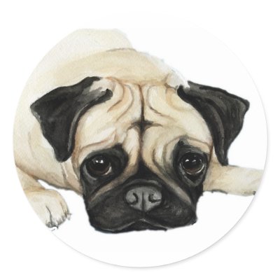 ""Pug"" Dog Art Sticker