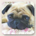 Pug dog beverage coasters