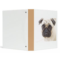 Pug Dog Binder