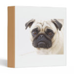 Pug Dog Binder binders