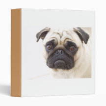 Pug Dog Binder