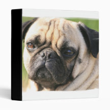 Pug Dog Breed Binder