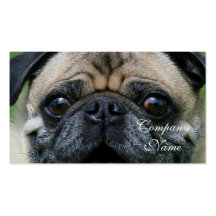 Pug Dog Business Card Template