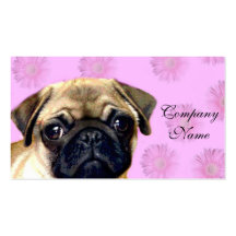 Pug dog business card templates