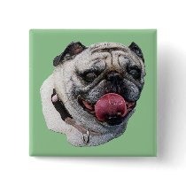 Pug Dog buttons