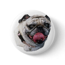 Pug Dog buttons
