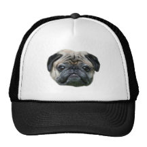 Pug Dog cap Hat