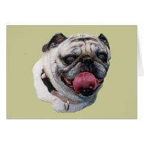 Pug Dog cards