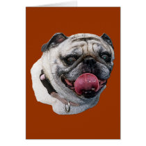 Pug Dog cards