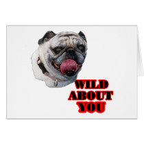 Pug Dog cards