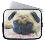 Pug dog computer sleeves