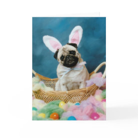 Pug Dog Easter Bunny Greeting Card - From an original photograph by artist/photographer, Candi Foltz.