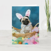 Pug Dog Easter Bunny Greeting Card