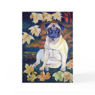 Pug Dog Greeting Cards