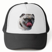 Pug Dog hats