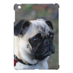 Pug dog ipad Mini Case