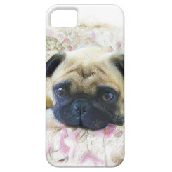 Pug dog iPhone 5 covers