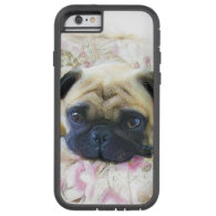 Pug Dog iPhone 6 Case
