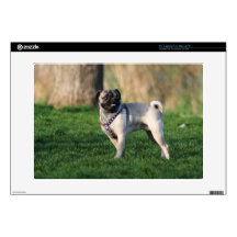 Pug dog laptop skin