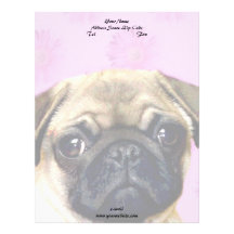 Pug dog letterhead template