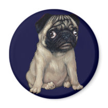 Pug Dog Magnet