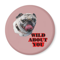 Pug Dog magnets