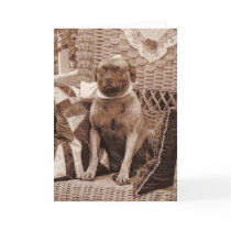 Pug Dog Notecard by Classic_Cat Pug Dog Notecard