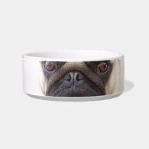 Pug Dog Pet Bowl