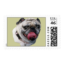 Pug Dog stamps